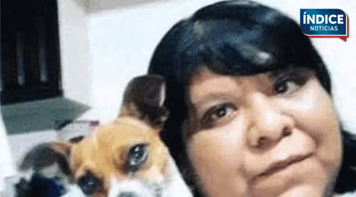 Estas son las severas acusaciones de maltrato animal de AimeP3; internautas reúnen pruebas