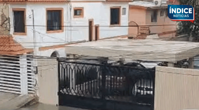 Cocodrilo de dos metros nada por calles de Ciudad Madero