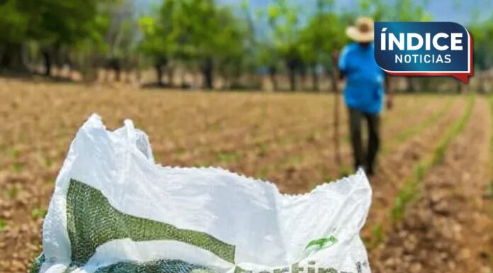 Aumentan beneficiarios del programa Fertilizantes para el Bienestar