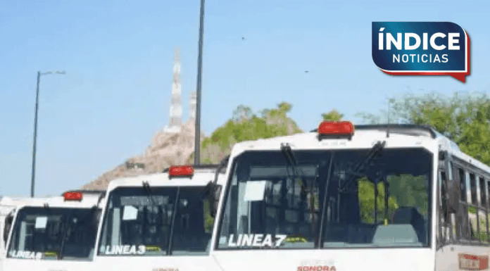 Gobierno de Sonora suma ya 371 unidades de transporte público