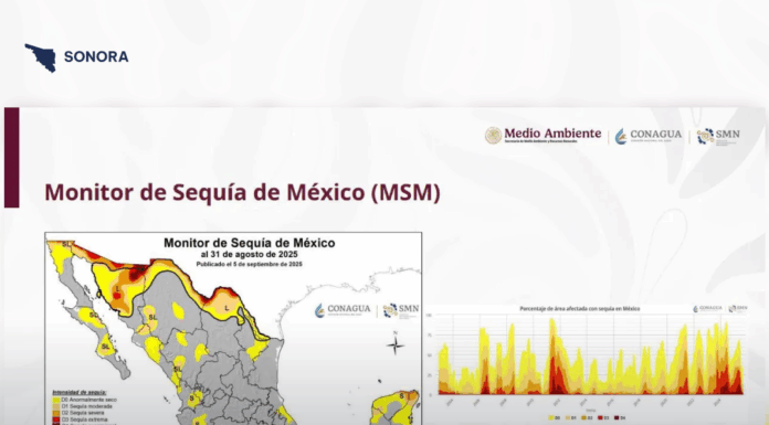 Disminuye la sequía en territorio sonorense