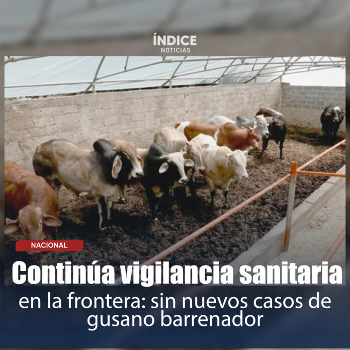 1_Mesa de trabajo 1 copia 6