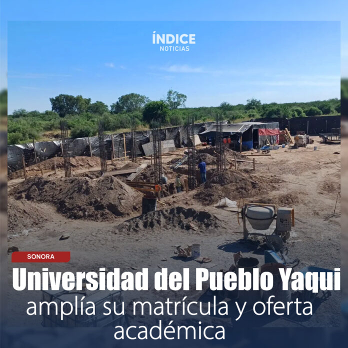 NOTA_Mesa de trabajo 1 copia 2