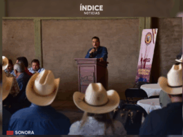 Ganaderos de Sonora anticipan reapertura de la frontera en enero