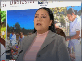 Farmacias del Bienestar: Inicia hoy 2 de diciembre el nuevo modelo de abasto de medicamentos