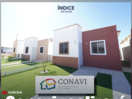 Sortearán 48 casas de Conavi en Cajeme este diciembre