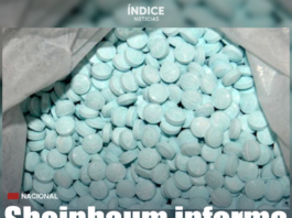 Sheinbaum informa cifras récord en decomisos de fentanilo en el país