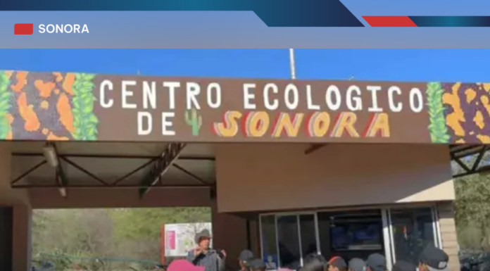 Destinan 5 mdp para rehabilitar el acuario del Centro Ecológico de Sonora