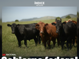 Gobierno federal destinará dos mil millones de pesos en apoyo a productores de carne