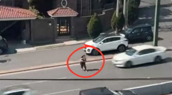 Identifican a mujer atropellada tras correr hacia avenida en Monterrey