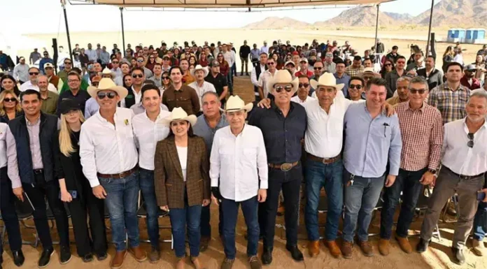 🌱 Arranca en Caborca la temporada de cosecha de espárrago con apoyo estatal