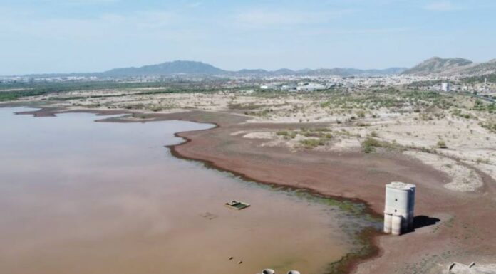 MEJORA LA SEQUÍA EN SONORA