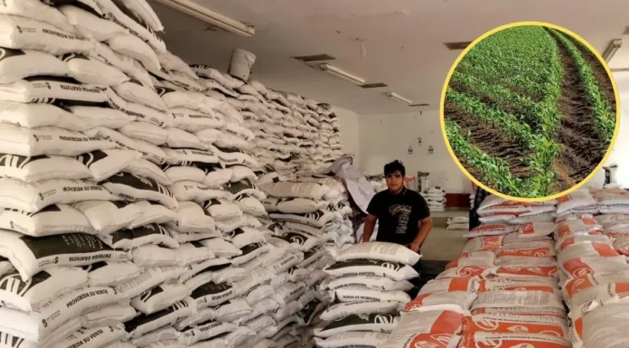 ARRANCA EN SONORA ENTREGA DEL PROGRAMA “FERTILIZANTES PARA EL BIENESTAR 2026”