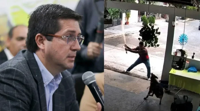 GOBIERNO DE NAVOJOA ACTUARÁ POR AGRESIÓN AL PERRITO “TOTO”