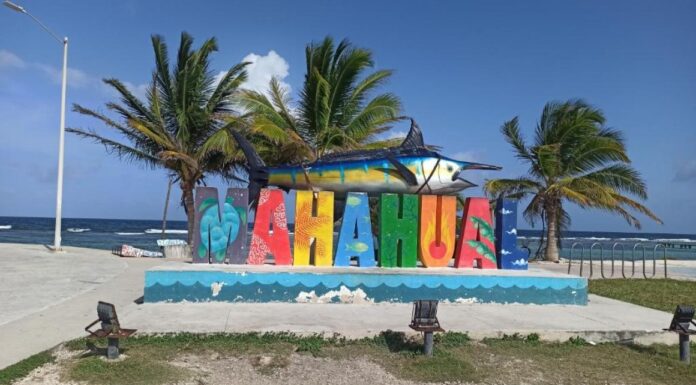 SHEINBAUM FRENA MEGAPROYECTO TURÍSTICO EN MAHAHUAL POR POSIBLE IMPACTO AMBIENTAL