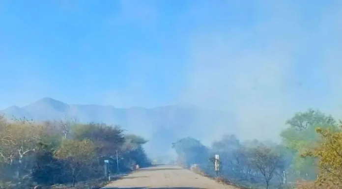COMBATEN INCENDIO EN INMEDIACIONES DE SAN PEDRO DE LA CUEVA EN SONORA