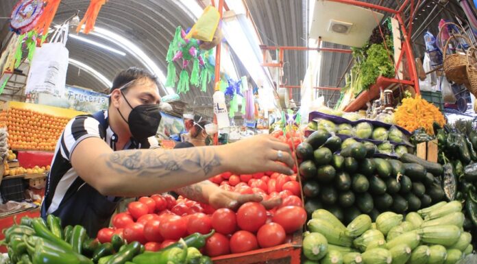 BAJAN PRECIOS DE TOMATE Y CHILE EN SONORA TRAS LLEGADA DE NUEVAS COSECHAS