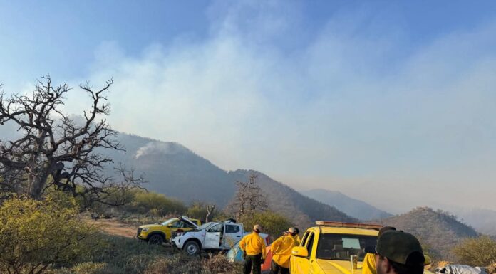 BRIGADAS INTENSIFICAN COMBATE A INCENDIO FORESTAL EN TARACHI, ARIVECHI