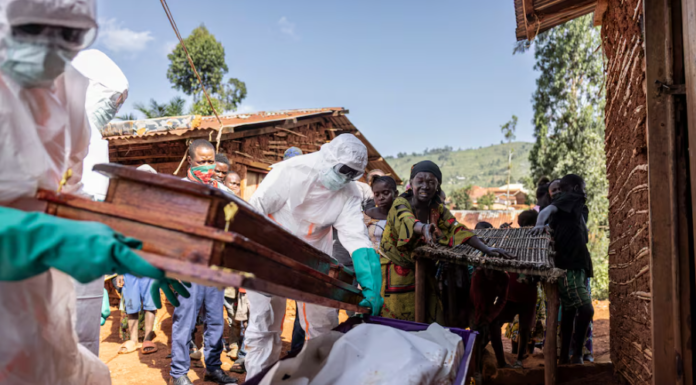 FRANCIA CONFIRMA PRIMER CASO DE ÉBOLA EN MÉDICO PROCEDENTE DEL CONGO: REFUERZAN PROTOCOLOS SANITARIOS