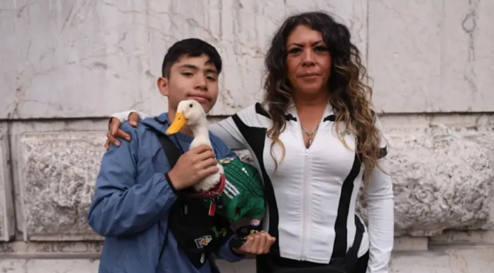 SHEINBAUM APOYA A LA FAMILIA DEL PATO MERLÍN PARA QUE TENGA UNA VIVIENDA