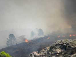 INCENDIO EN EL SURESTE DE ESPAÑA DEJA 12 MUERTOS Y DECENAS DE PERSONAS DESAPARECIDAS