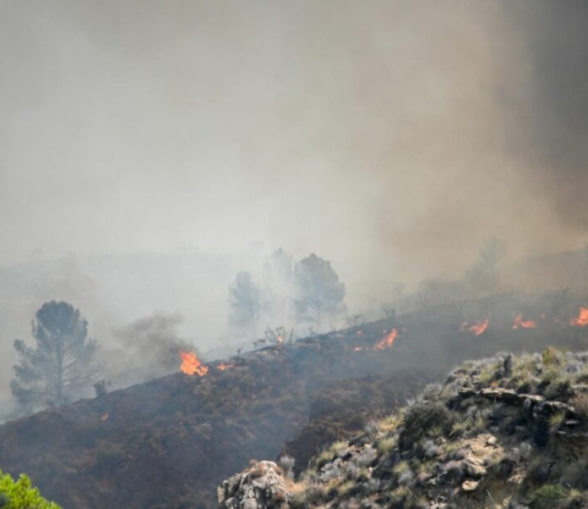 INCENDIO EN EL SURESTE DE ESPAÑA DEJA 12 MUERTOS Y DECENAS DE PERSONAS DESAPARECIDAS