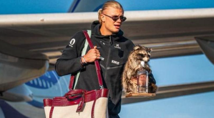 ¡INSÓLITO! HAALAND LLEGA A NORUEGA ACOMPAÑADO DE UN MAPACHE Y DESATA FUROR EN REDES