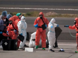 OMS DECLARA OFICIALMENTE EL FIN DEL BROTE DE HANTAVIRUS RELACIONADO CON EL CRUCERO MV HONDIUS