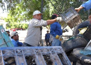 Secretaría de Salud fortalece acciones permanentes para la prevención y combate del dengue en Sonora