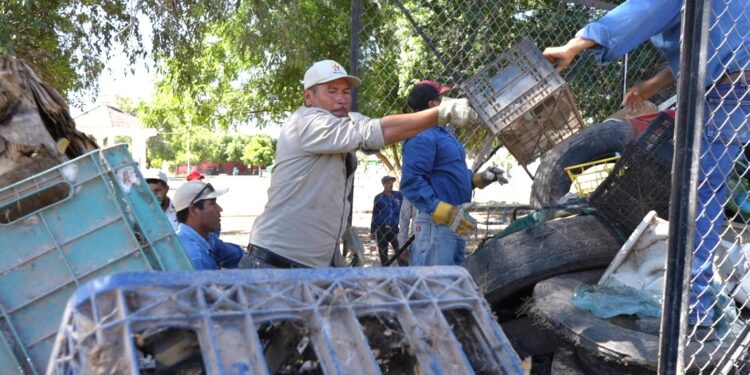 Secretaría de Salud fortalece acciones permanentes para la prevención y combate del dengue en Sonora