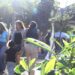 GRAN PARTICIPACIÓN CIUDADANA EN LA ECO FERIA AMBIENTAL 2026 EN CAJEME