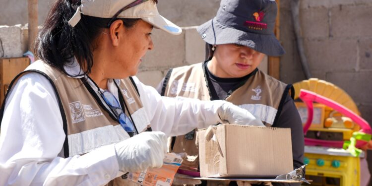Exhorta Salud Sonora a reforzar limpieza en temporada de calor para prevenir rickettsia