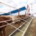 Durazo logra alianza con UGRS e impulsan más de 800 millones para parque industrial y modernización ganadera