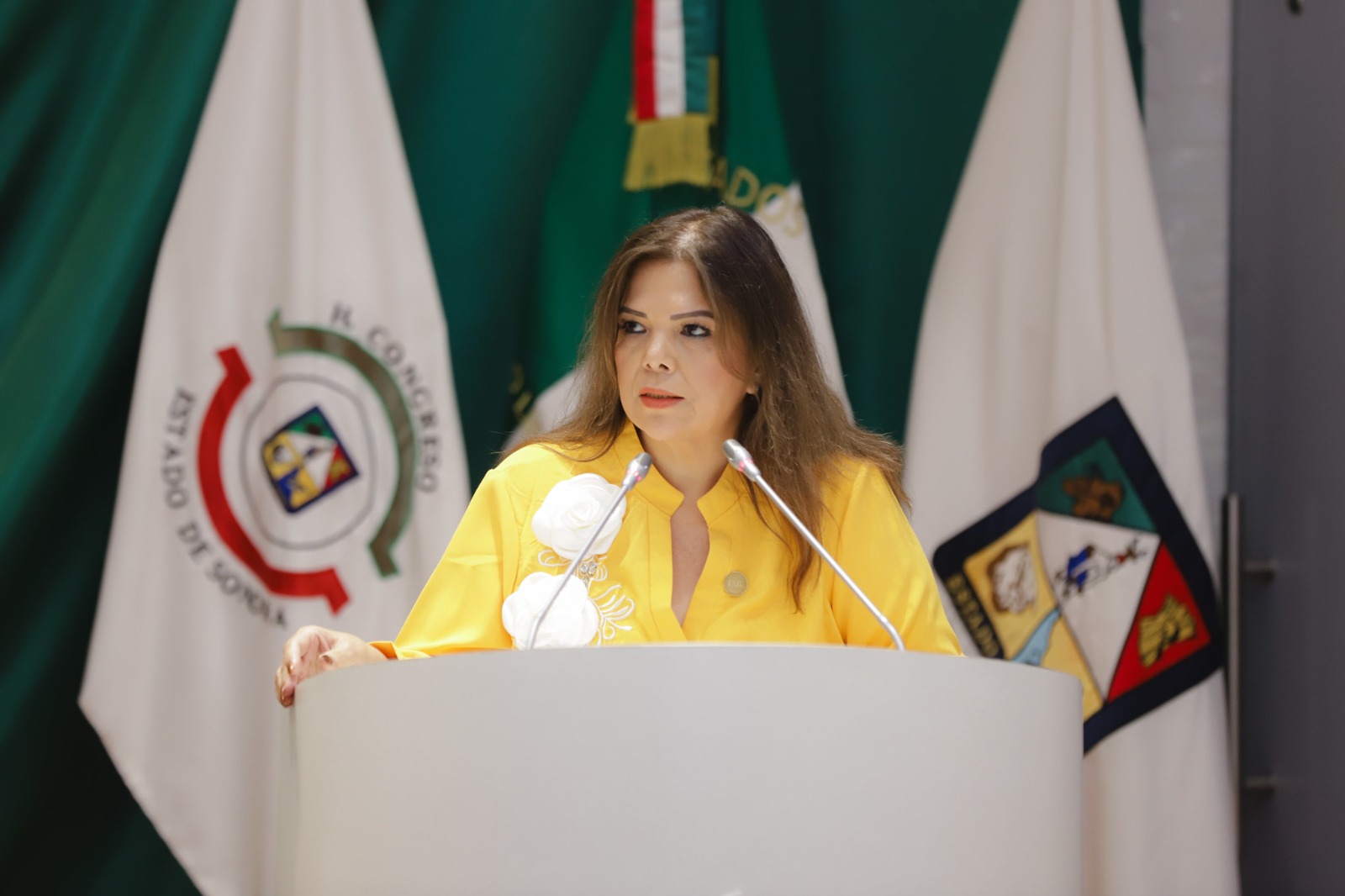 Turna Congreso de Sonora iniciativas en materia de inclusión, justicia, educación, salud, agua y apoyo al campo