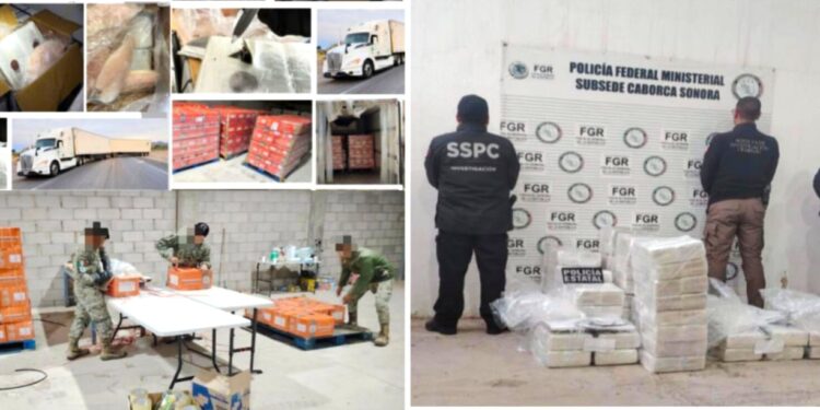 Acción firme del gobierno de Durazo: decomisan 400 kilos de cocaína