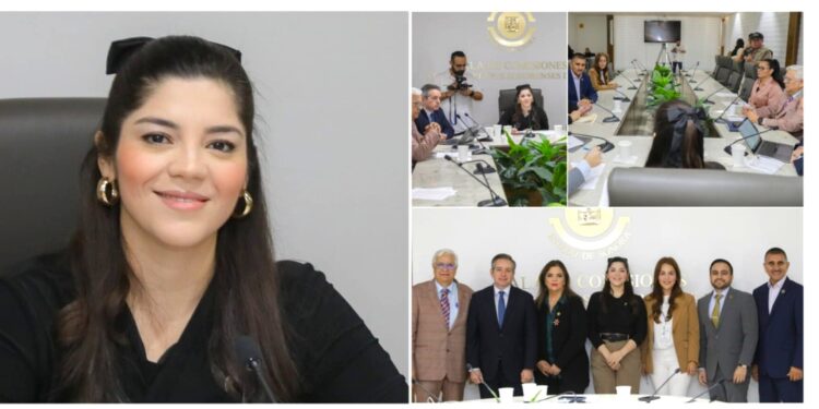 Comisión de Salud del Congreso de Sonora aprueba formalizar servicio de telemedicina en Isssteson