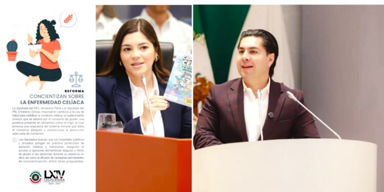 Diputados Emeterio Ochoa y Amairany Peña presentan iniciativa para concietizar sobre enfermedad celíaca