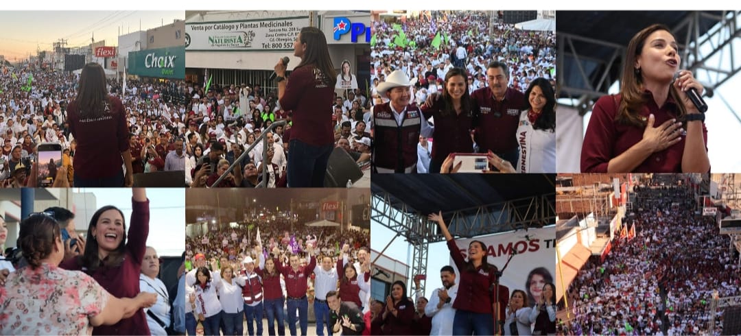 JAVIER LAMARQUE CONTARÁ CON UNA ALIADA EN EL CONGRESO DE LA UNIÓN: ANABEL ACOSTA