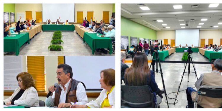 APRUEBA CABILDO REGLAMENTO PARA EL FUNCIONAMIENTO DE ESTABLECIMIENTOS MERCANTILES