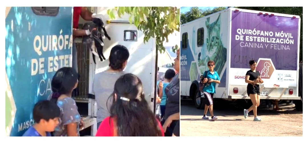 IMPACTA FAVORABLEMENTE JORNADA DE SALUD CANINA Y FELINA EN LA MAXIMILIANO R. LÓPEZ