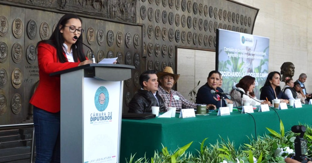INVITA GOBIERNO MUNICIPAL A CELEBRACIÓN DEL DÍA DE MUERTOS Y FESTIVAL CULTURAL DE LAS CALACAS 2025
