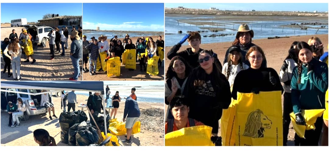 Se suma Gobierno de Sonora a jornada internacional de limpieza de costas: Cobach