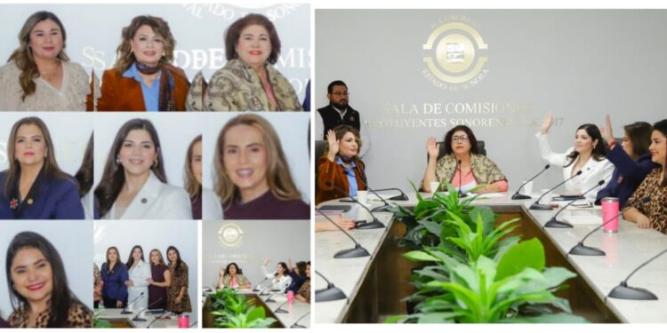 Comisión para la Igualdad de Género del Congreso de Sonora avala incrementar penas por abuso sexual