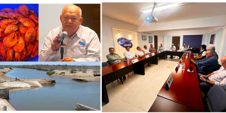 QUIEREN SONORA SEA ZONA LIBRE DE MANCHA BLANCA