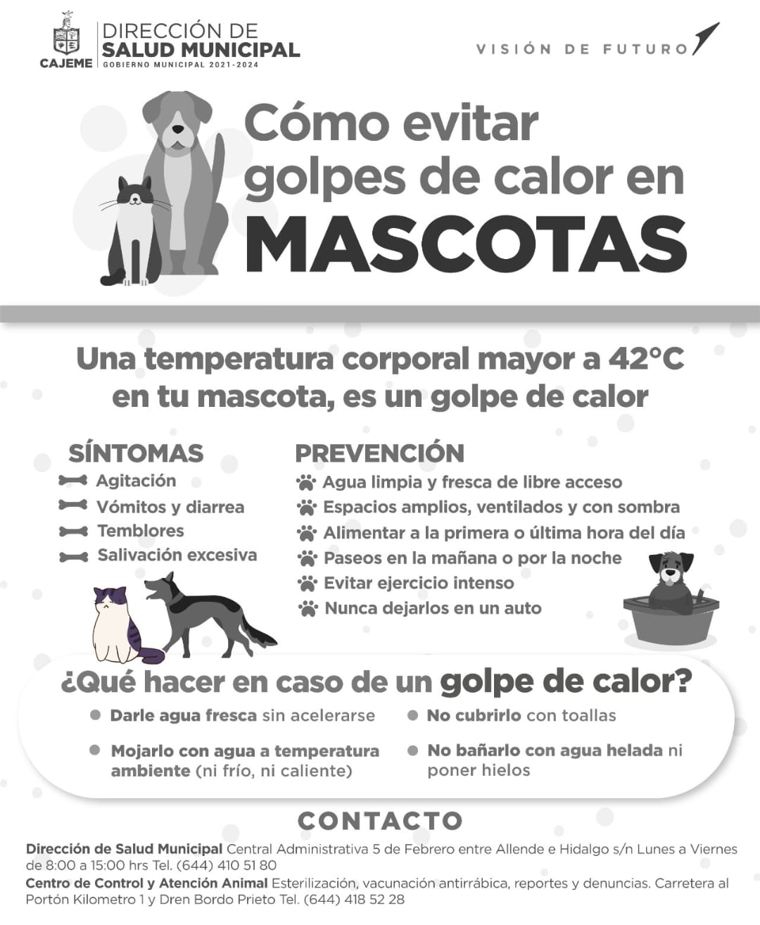 ¡Cuida a tus mascotas de las altas temperaturas!