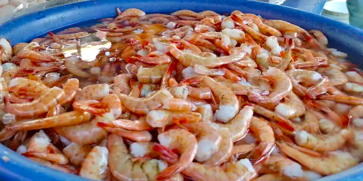Camarón de Ecuador golpea a Sonora Sinaloa y Nayarit