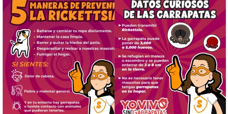 Detectar a tiempo y limpiar el entorno puede salvar vidas ante la rickettsiosis