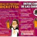 Detectar a tiempo y limpiar el entorno puede salvar vidas ante la rickettsiosis