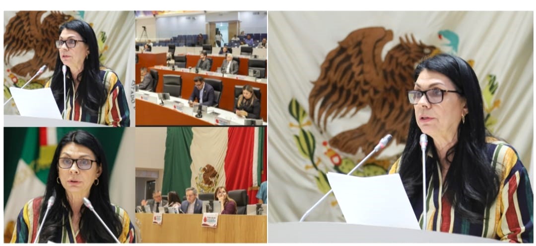 Diputada Ernestina Castro busca establecer en la ley el delito de Violencia Económica Postseparación.