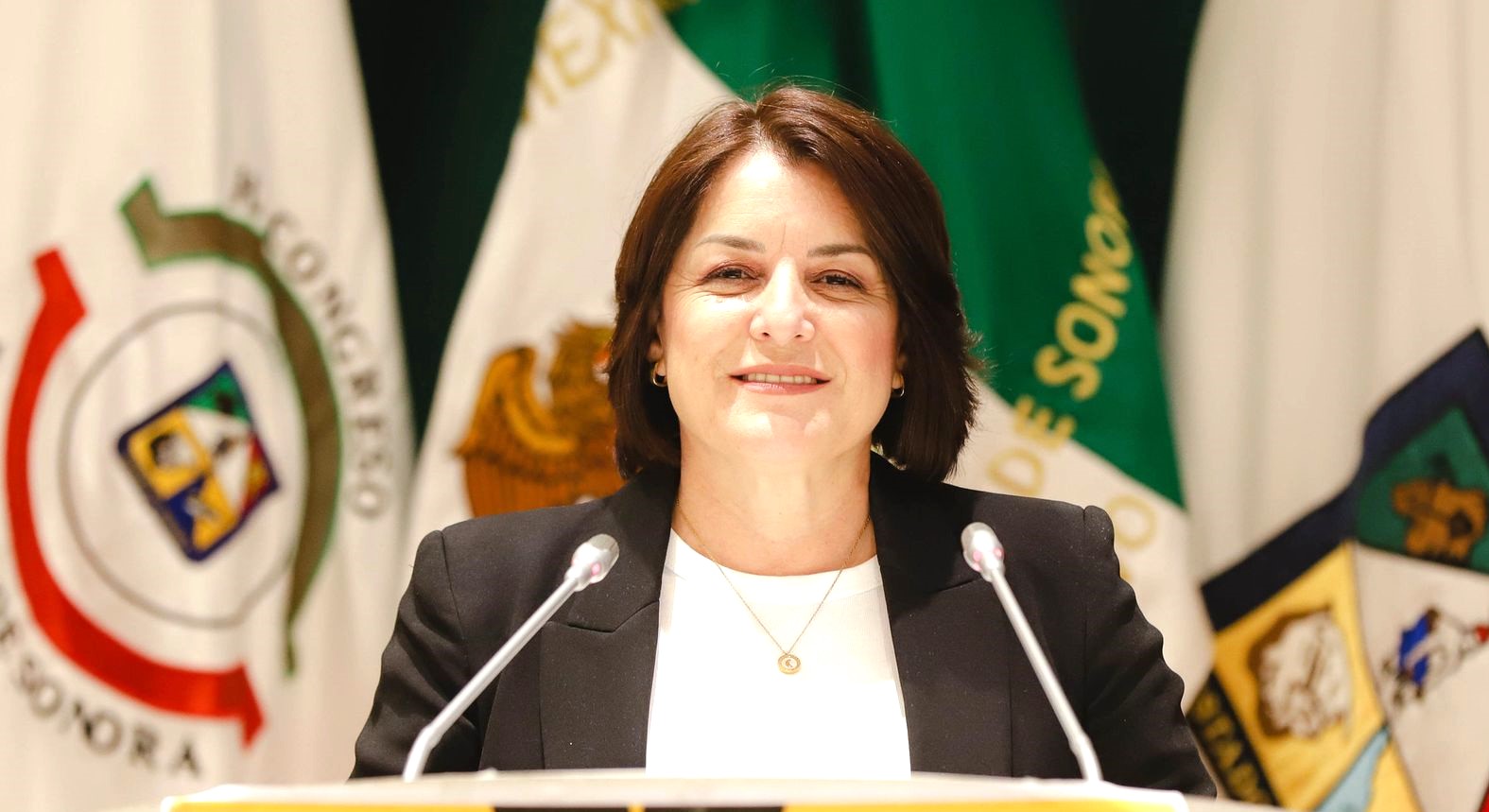 Bancada Naranja presenta la Ley para Declaración Especial de Ausencia en Sonora